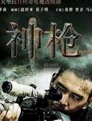 国产神枪大全视频,揭秘我国顶尖枪械风采